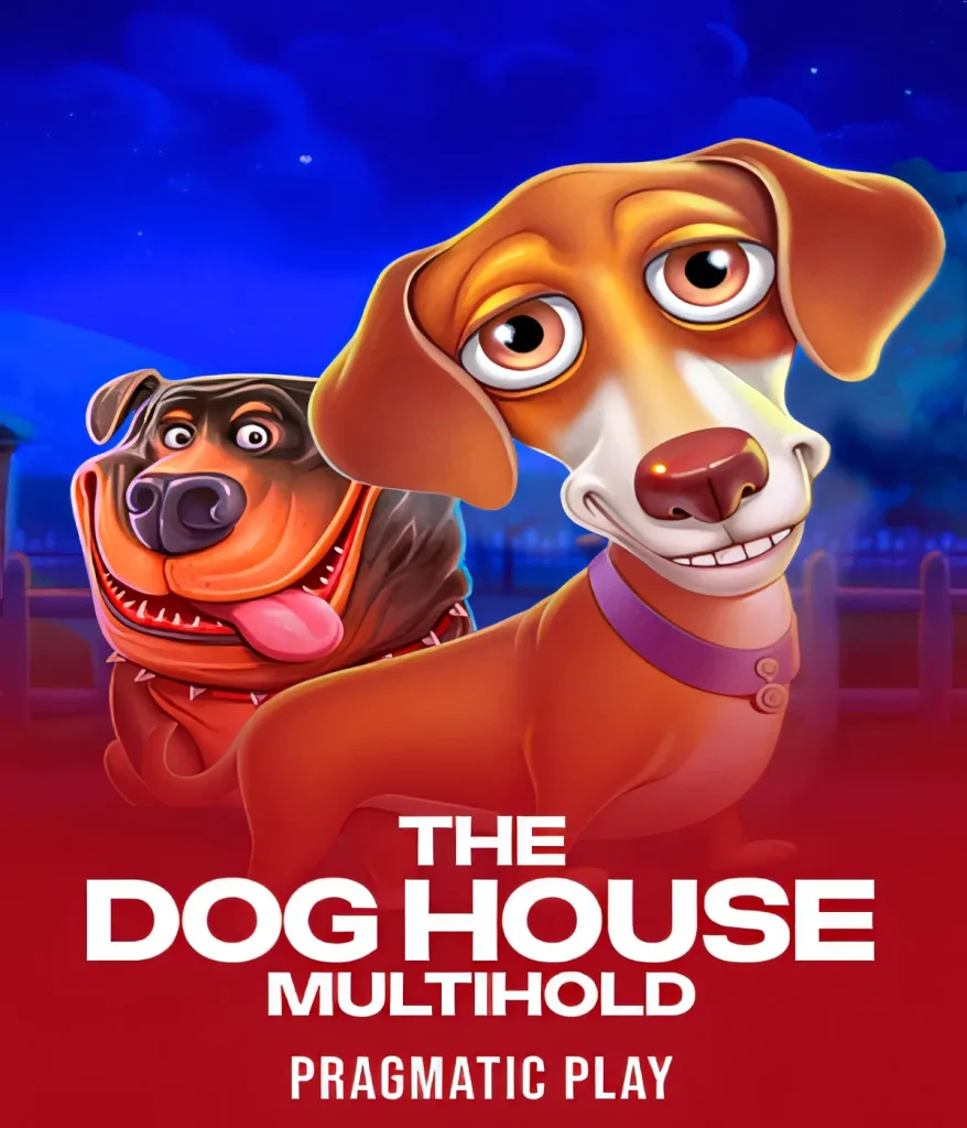 hanzbet-doghouse