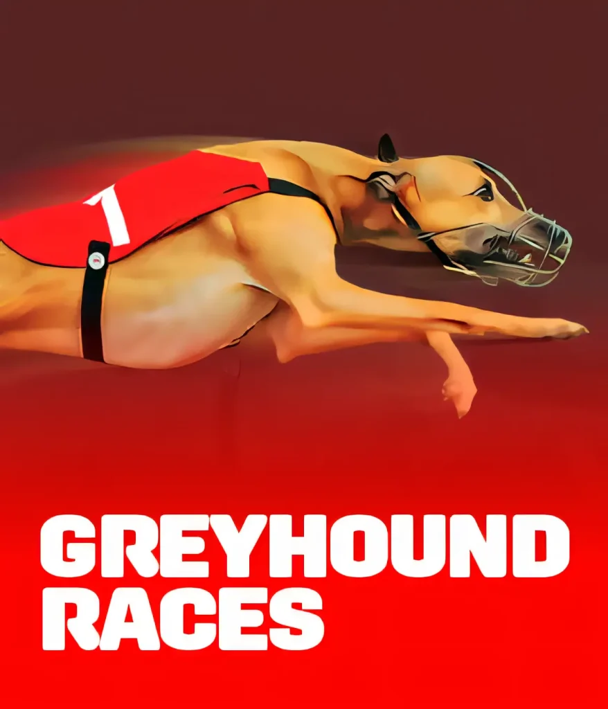 hanzbet-greyhoundraces